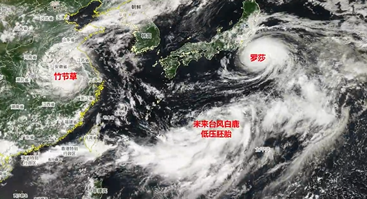 台风“罗莎”即将变性！“白鹿”或生成！福建暴雨预警！