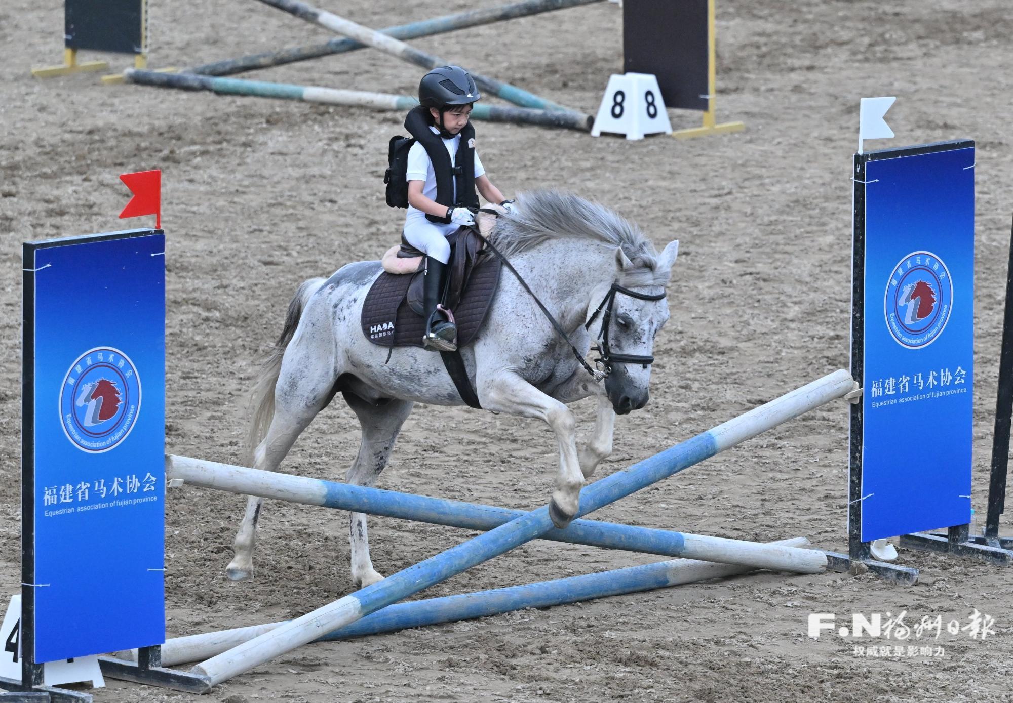 兩岸20支青少年馬術隊伍榕城競技