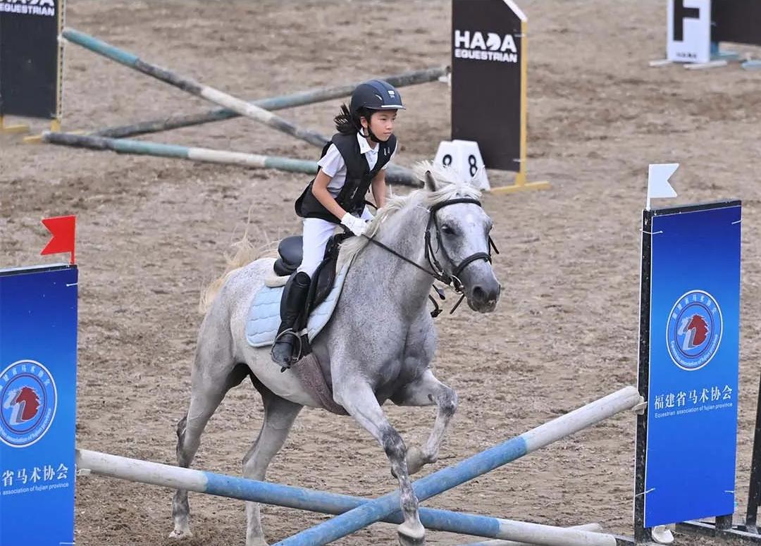 共聚榕城！和兩岸青年“嗨”動一夏！