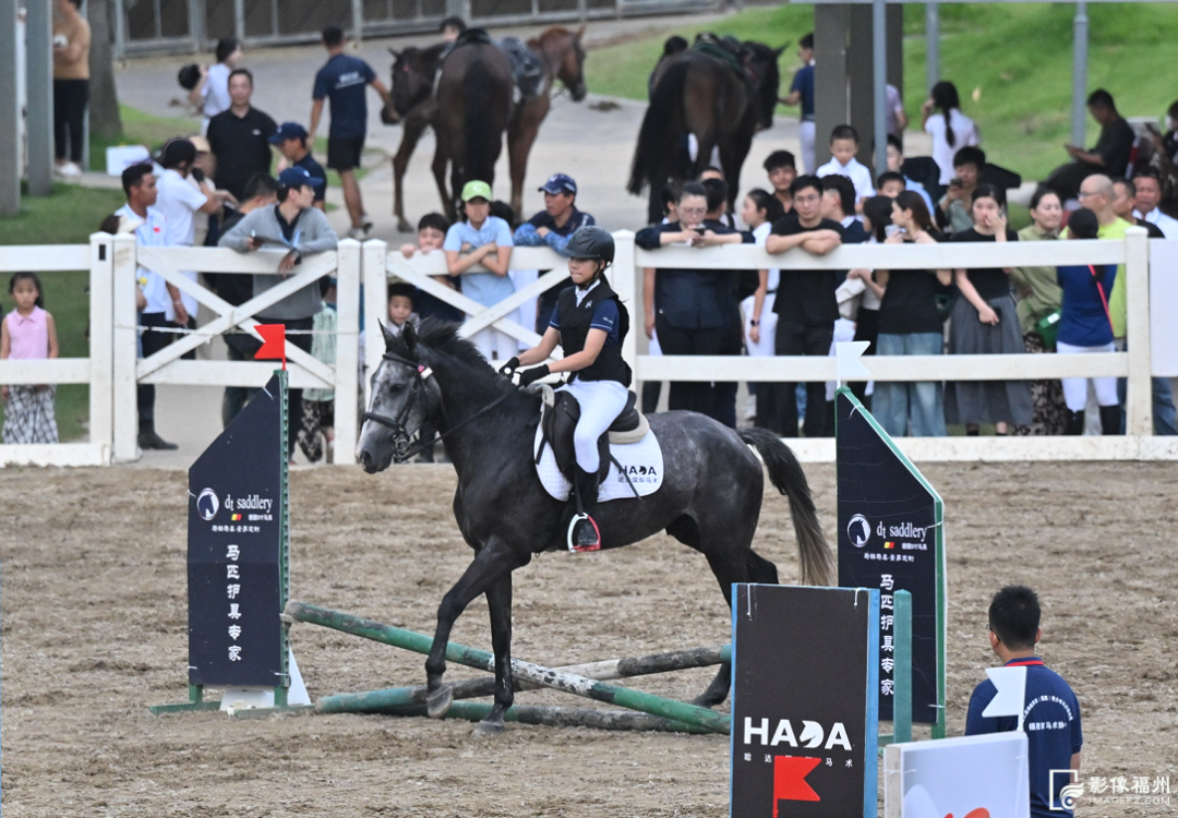 共聚榕城！和兩岸青年“嗨”動一夏！