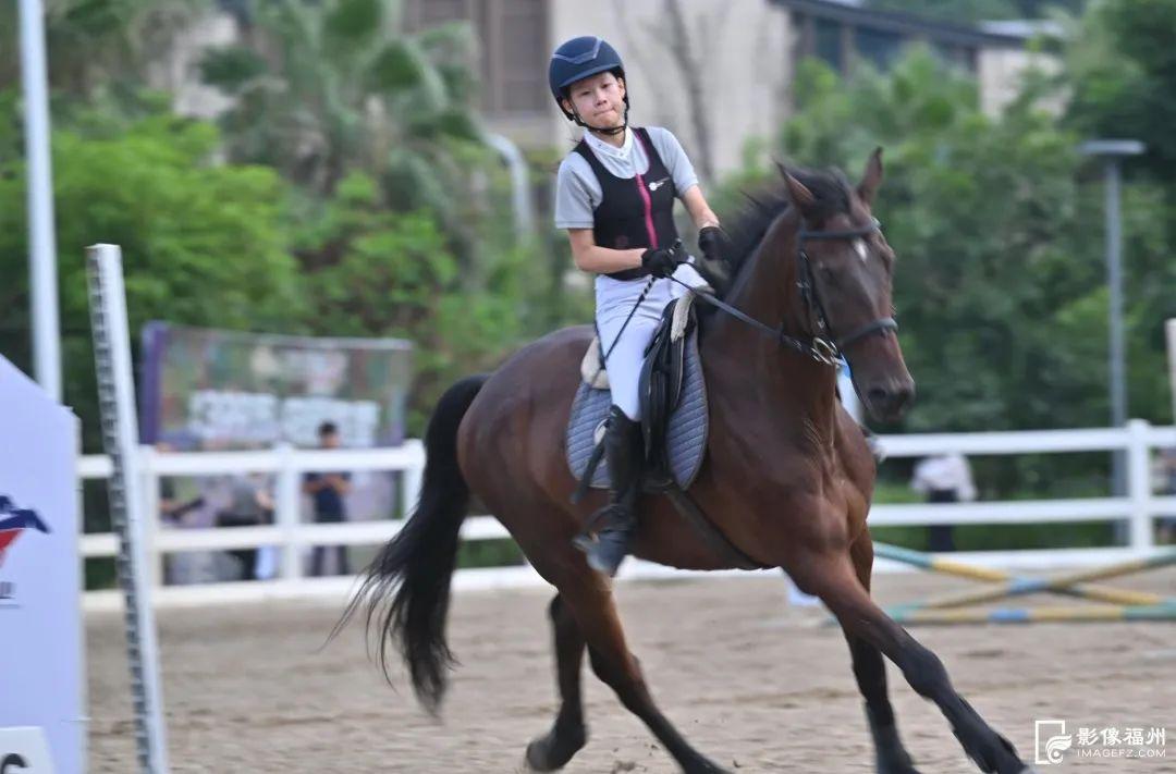 共聚榕城！和兩岸青年“嗨”動一夏！