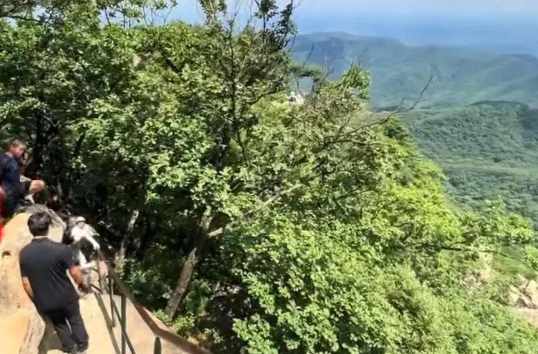 51岁男子疑坐1米高栏杆不慎坠崖身亡！现场游客发声！