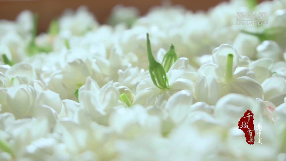 千城百县看中国｜福建福州：古法制茉莉花膏留住清香