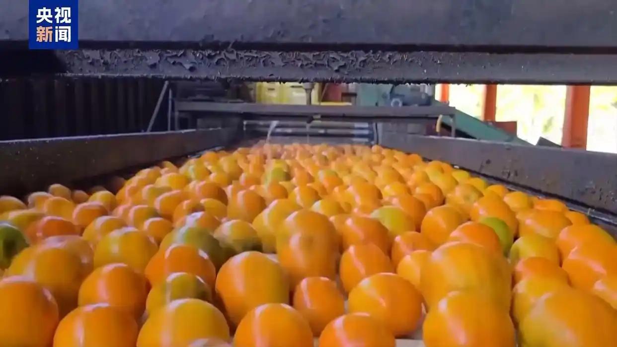 巴总统：我们是平等的 巴西不会屈服