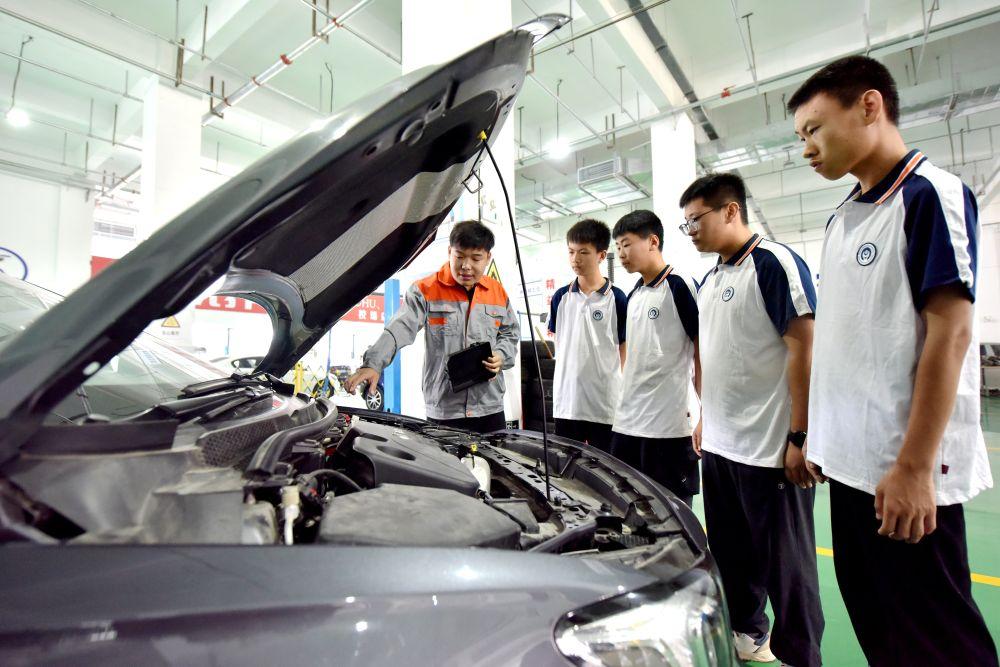 镜观·回响｜筑牢就业“压舱石” 守护群众幸福感