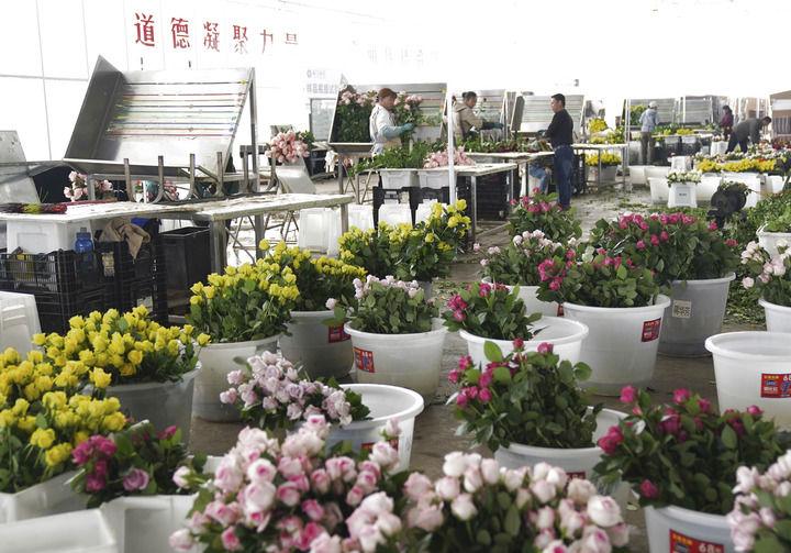 新的伟大奋斗创造新的历史伟业——以习近平同志为核心的党中央引领“十四五”经济社会发展纪实