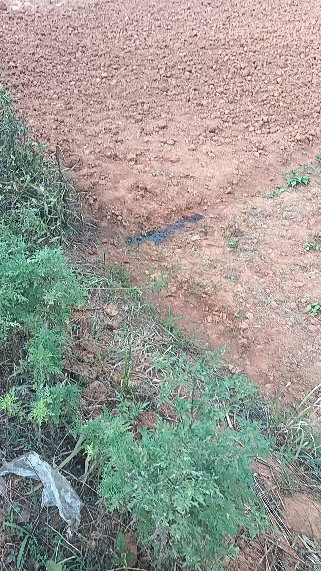 农民工上厕所时被气枪击中身亡