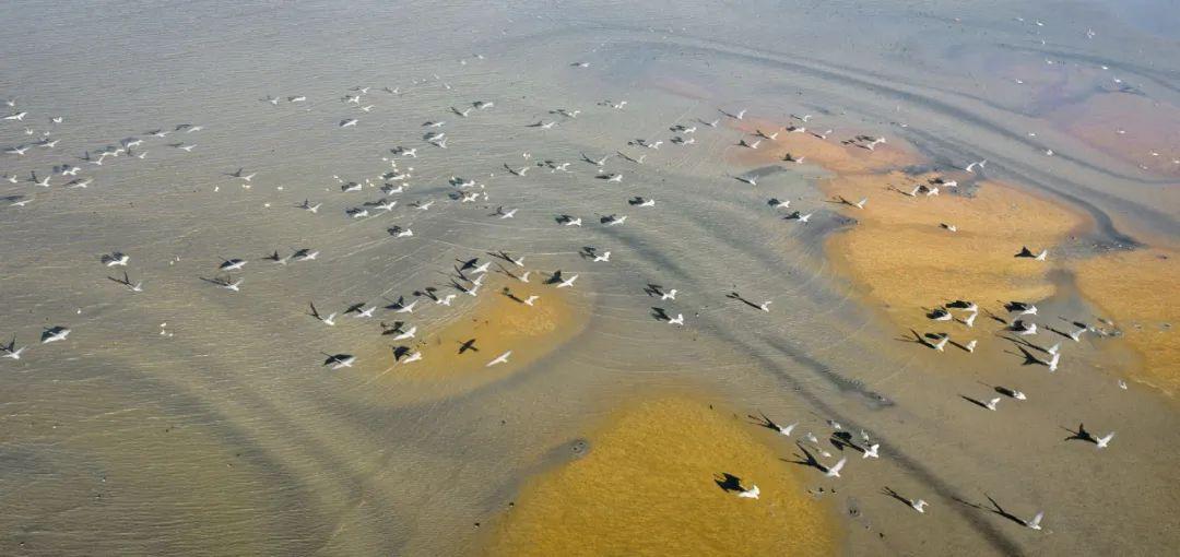 立秋，福州这里正清凉！