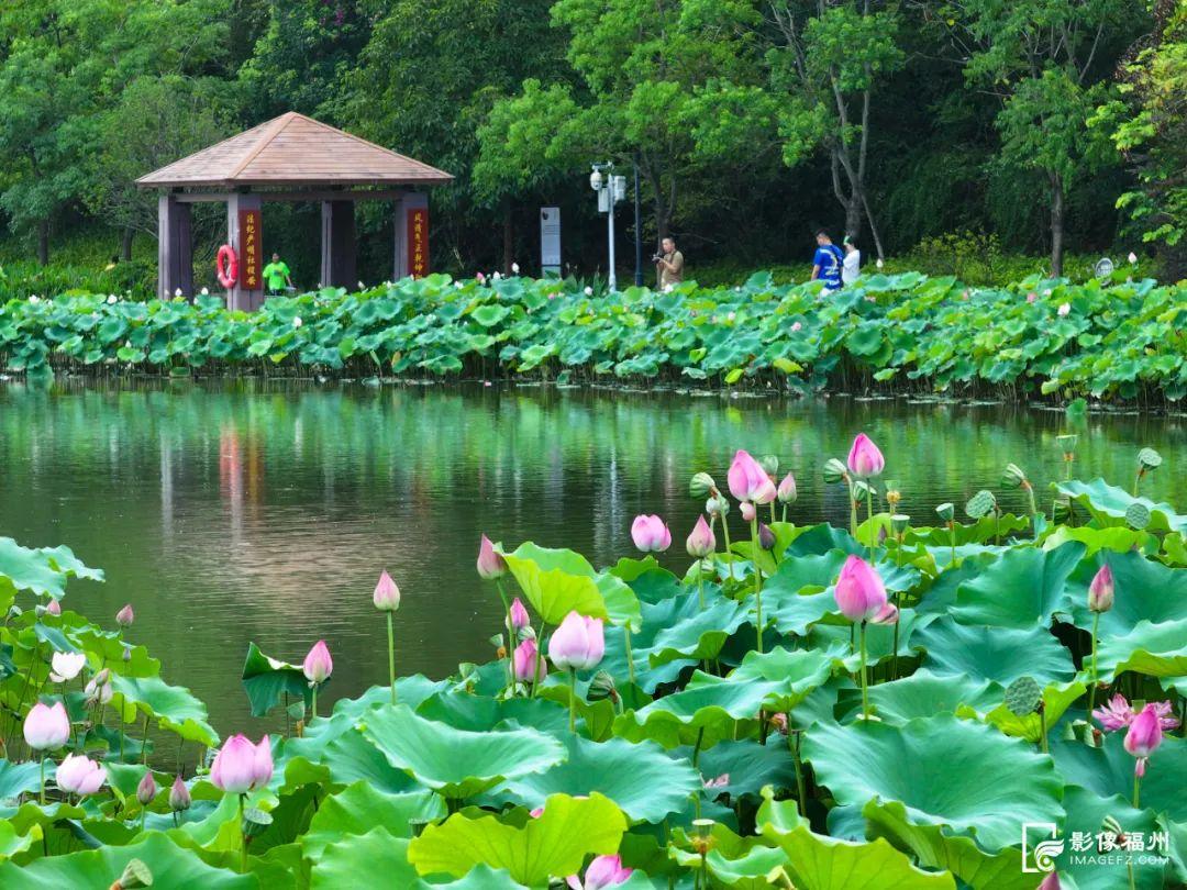 立秋，福州这里正清凉！