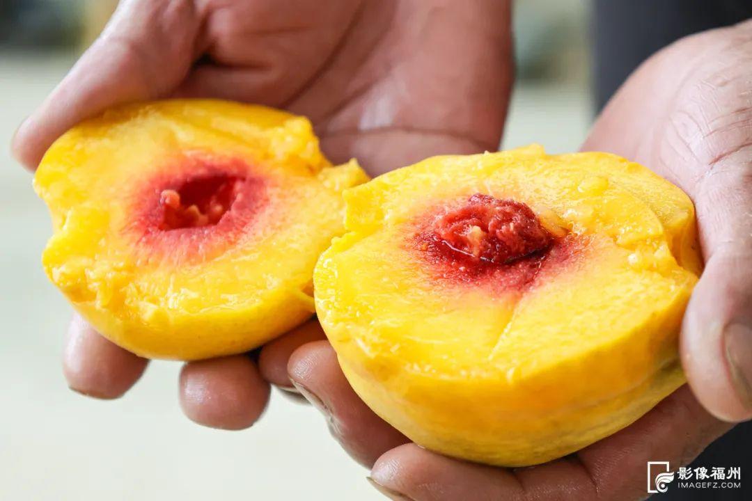 秋天的第一粒桃子，你吃了吗？