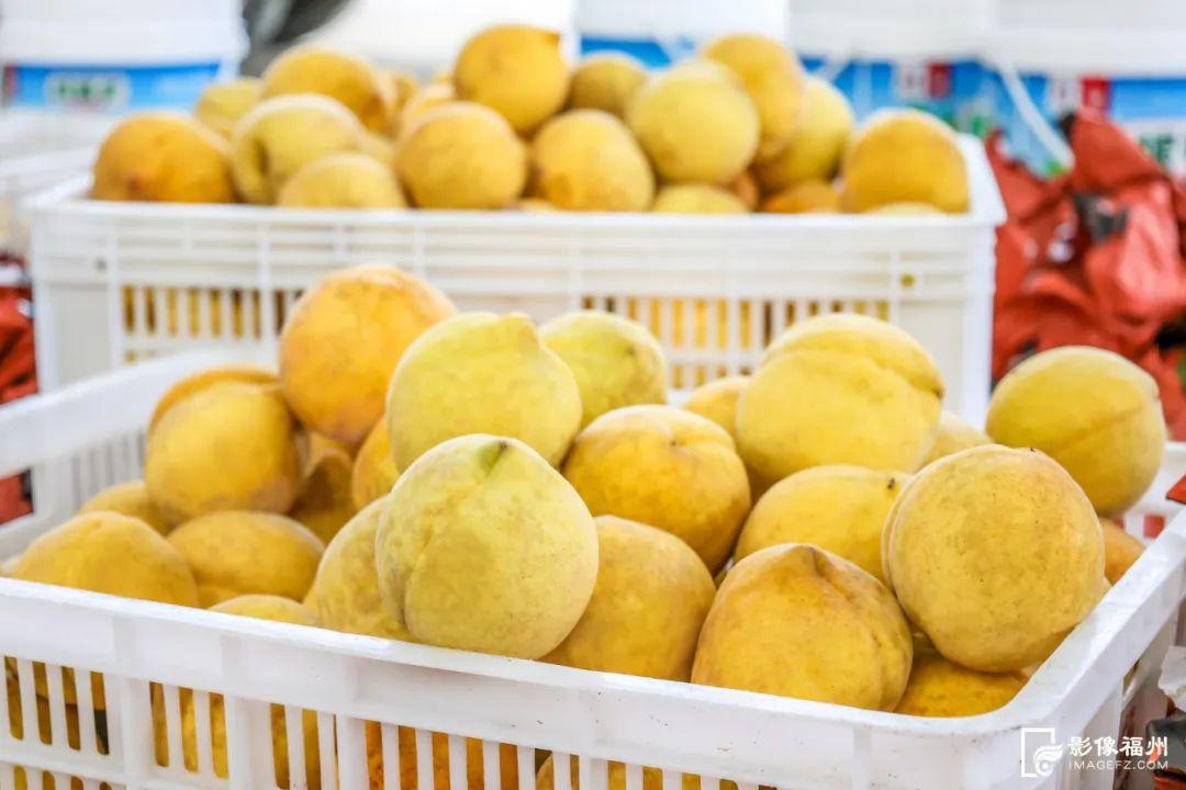 秋天的第一粒桃子，你吃了吗？