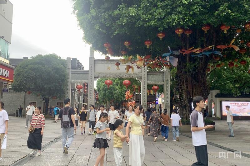 一棵树冠一座城：行人不知暑 万古长清风