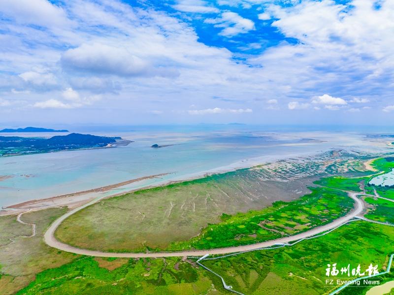 秋迁候鸟“先遣部队”抵达福州 闽江河口湿地迎来观鸟佳期
