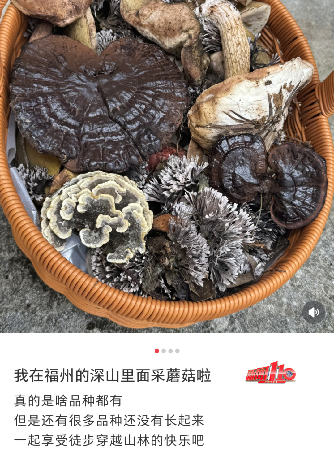 不要碰，不要吃！福州最近不少人都出动了！紧急提醒
