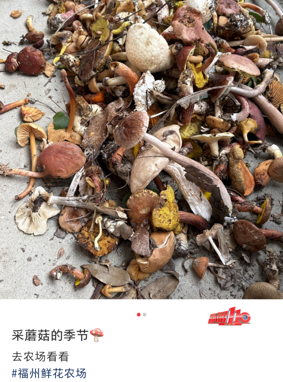 不要碰，不要吃！福州最近不少人都出动了！紧急提醒