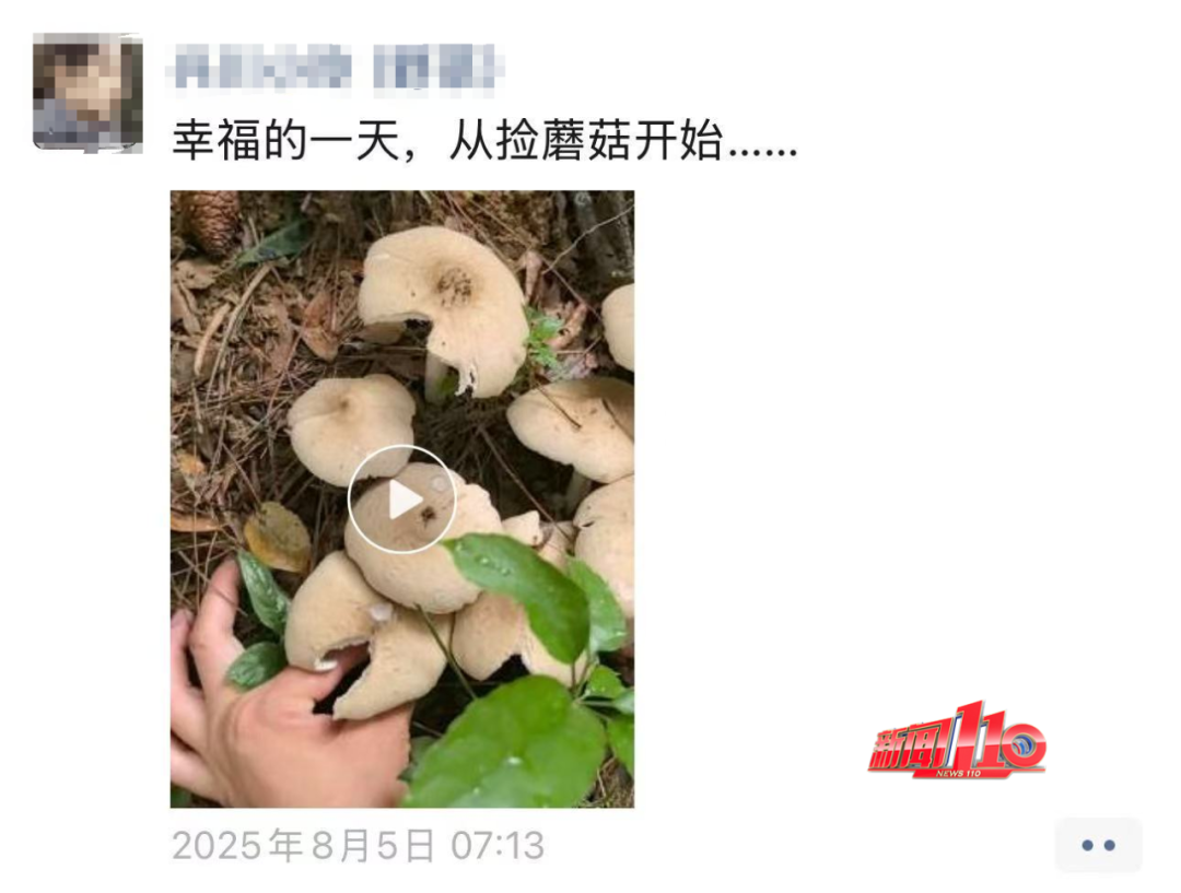 不要碰，不要吃！福州最近不少人都出动了！紧急提醒