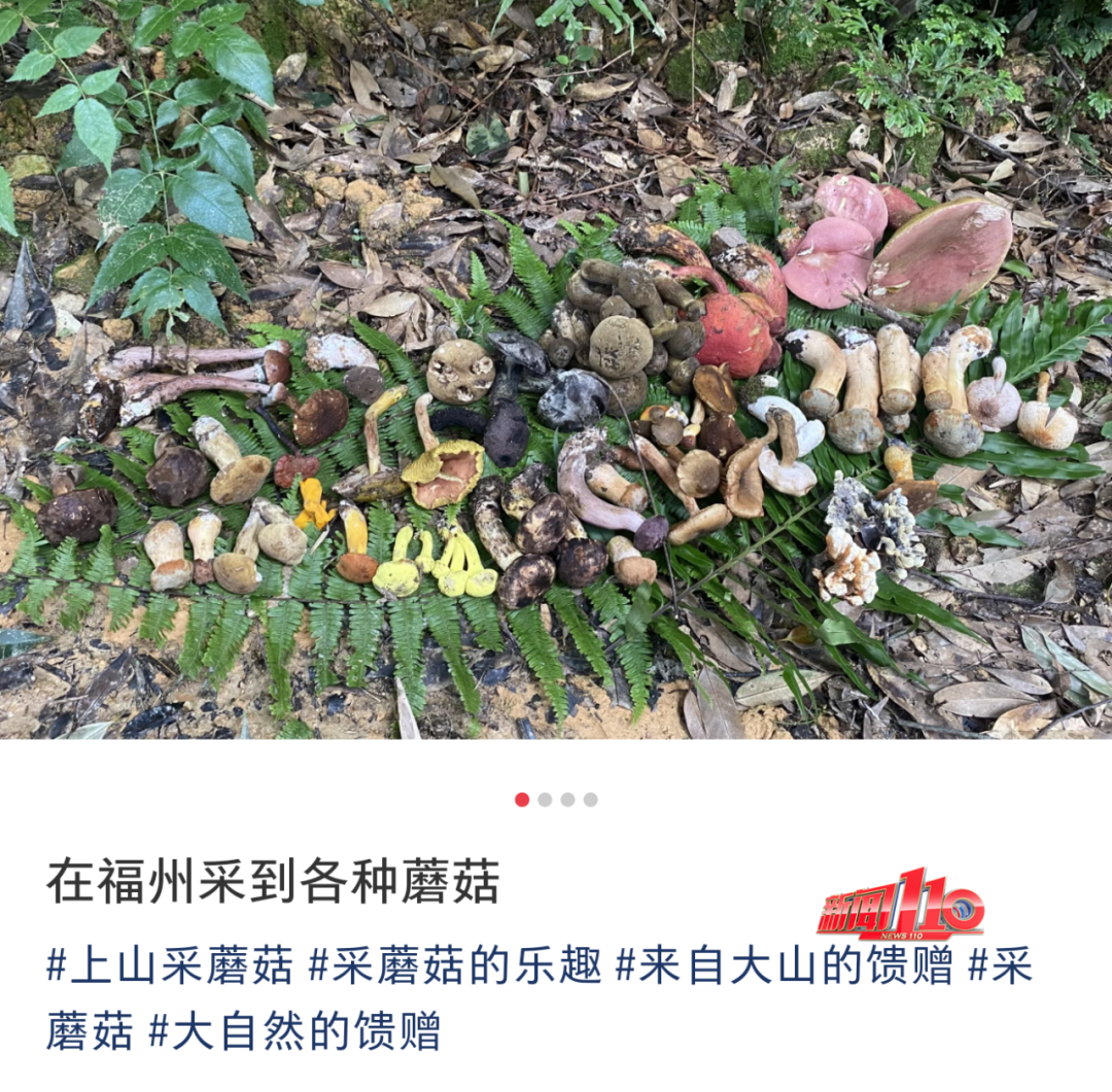 不要碰，不要吃！福州最近不少人都出动了！紧急提醒