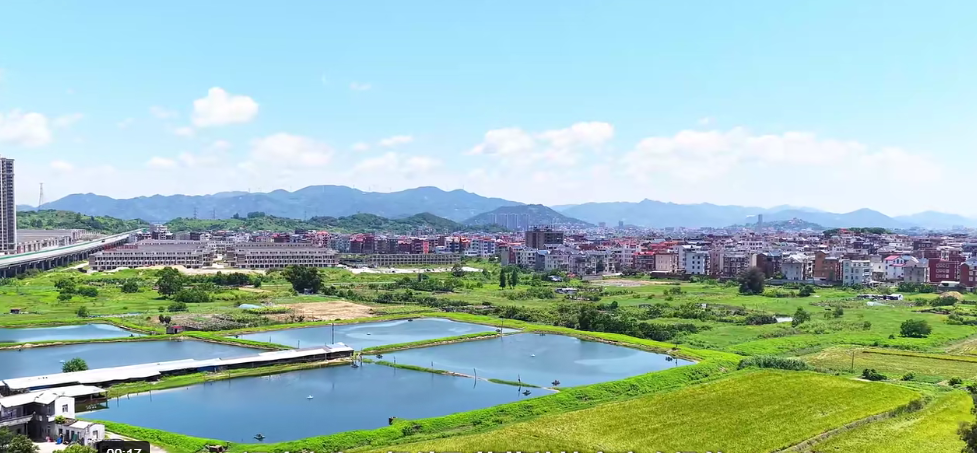 福州：水稻单产提升 助力粮食增产