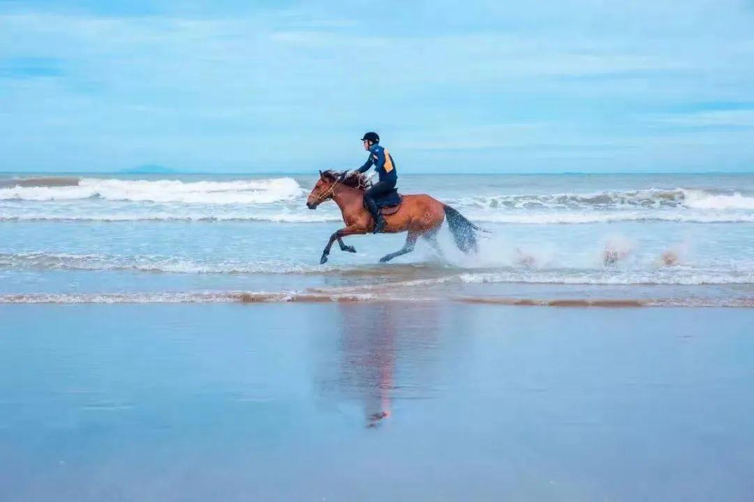 8月，我在福州，收集大海