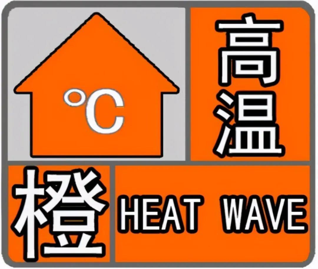 台风“杨柳”路径调整，直指台、闽、浙或自我消散？