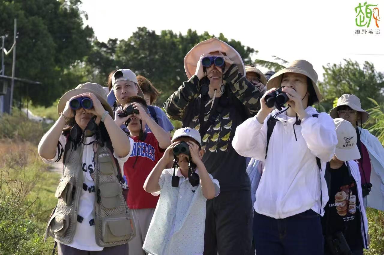 来福州 观鸟趣