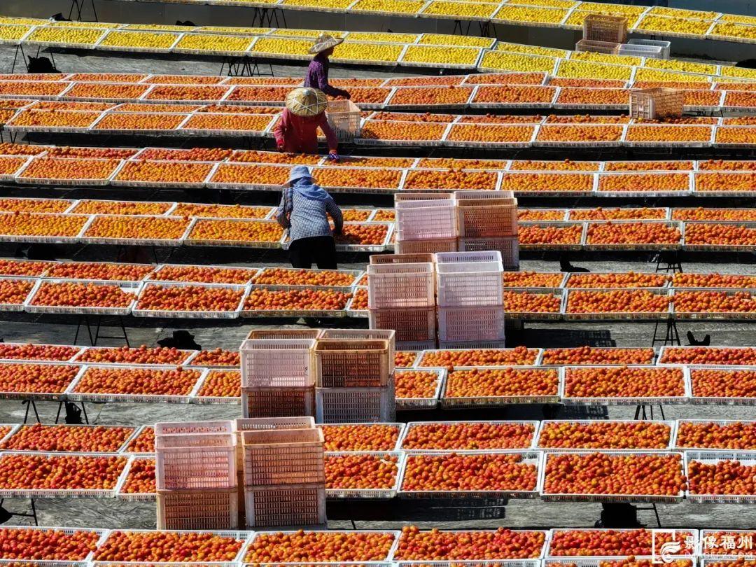 肉质鲜嫩 口感清甜 永泰李干你喜欢吃吗？