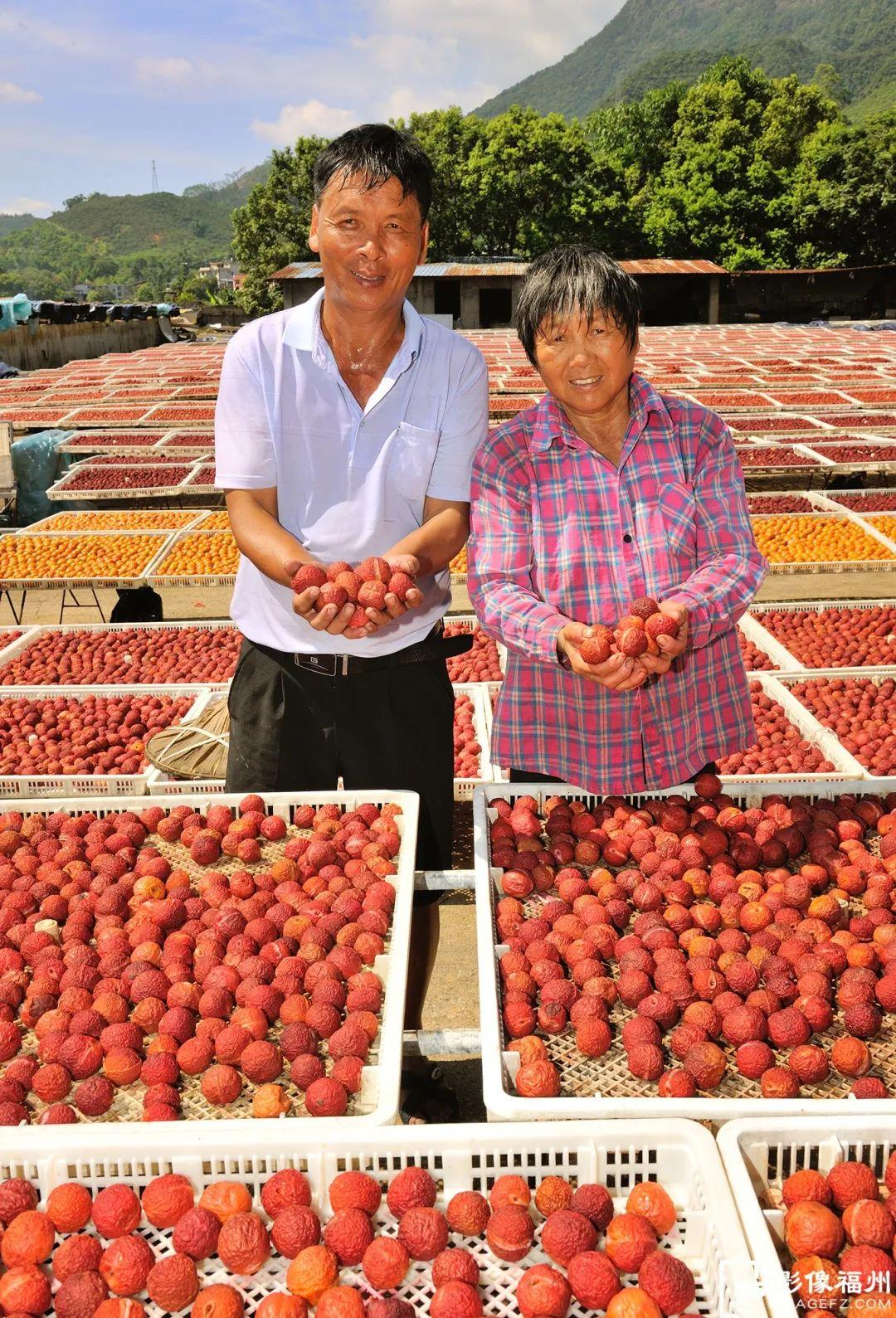 肉质鲜嫩 口感清甜 永泰李干你喜欢吃吗？