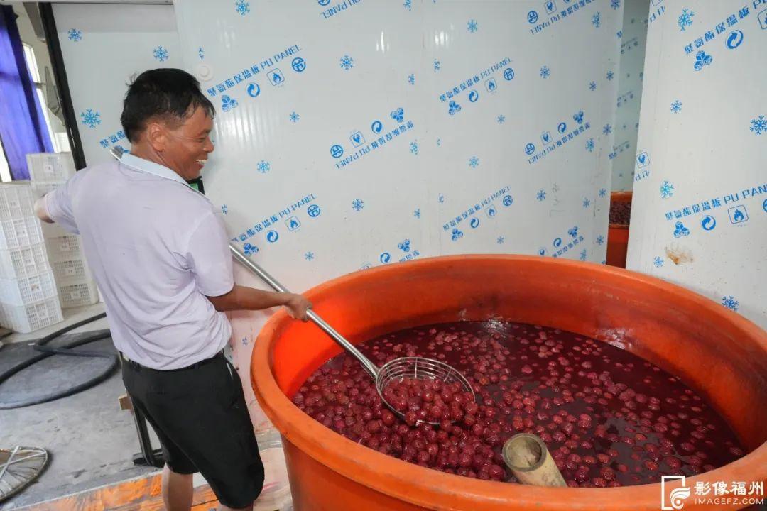 肉质鲜嫩 口感清甜 永泰李干你喜欢吃吗？