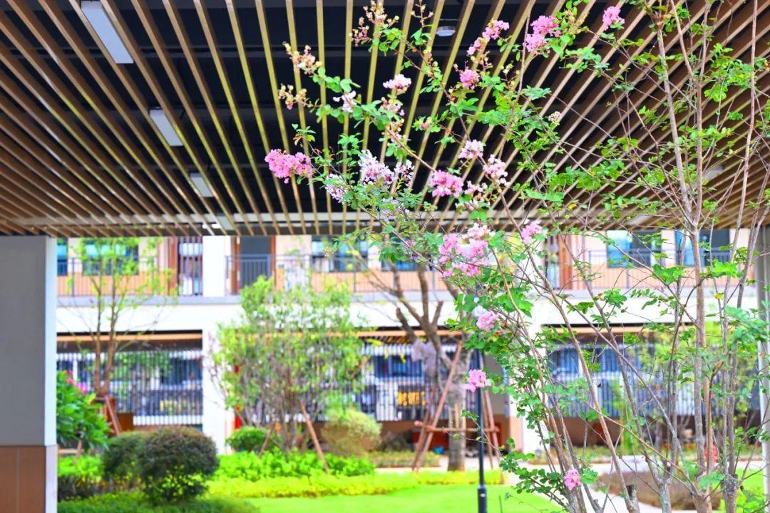 即将投用！福州四中小学部来了！