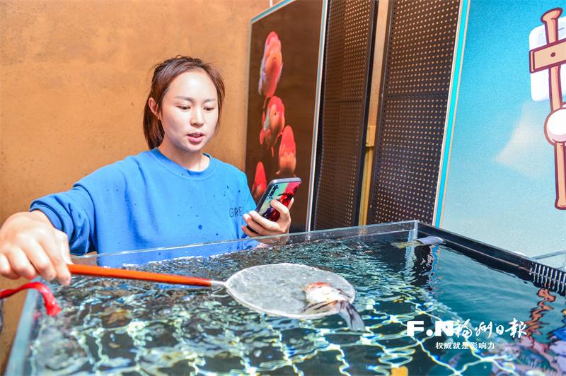 现代物流推动福州金鱼业蓬勃发展：“氧”护金鱼“邮”天下