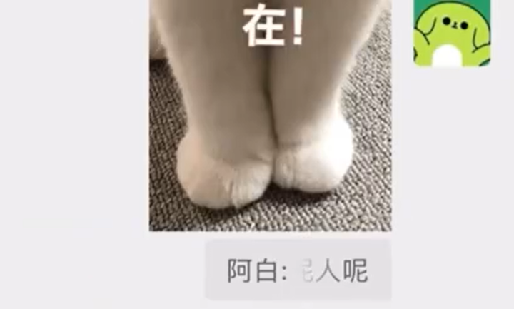 微信聊天又有新功能！已有人用上了