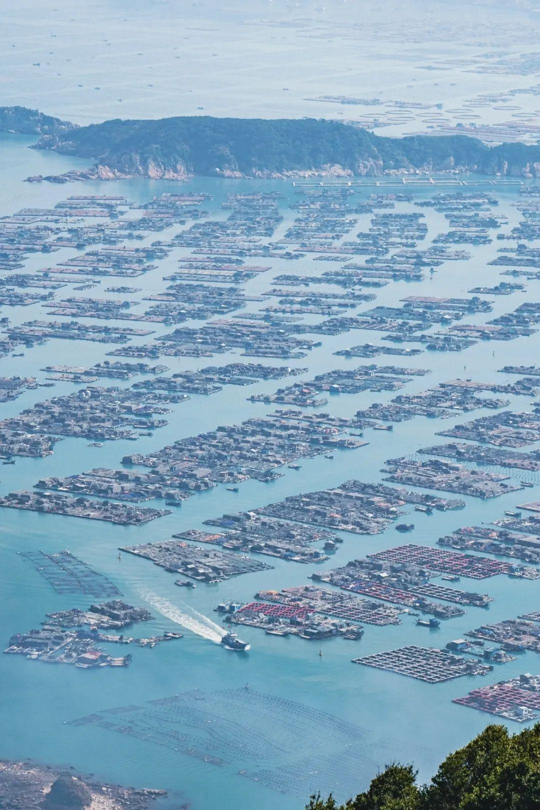 明日开渔！海风已携鲜味而来