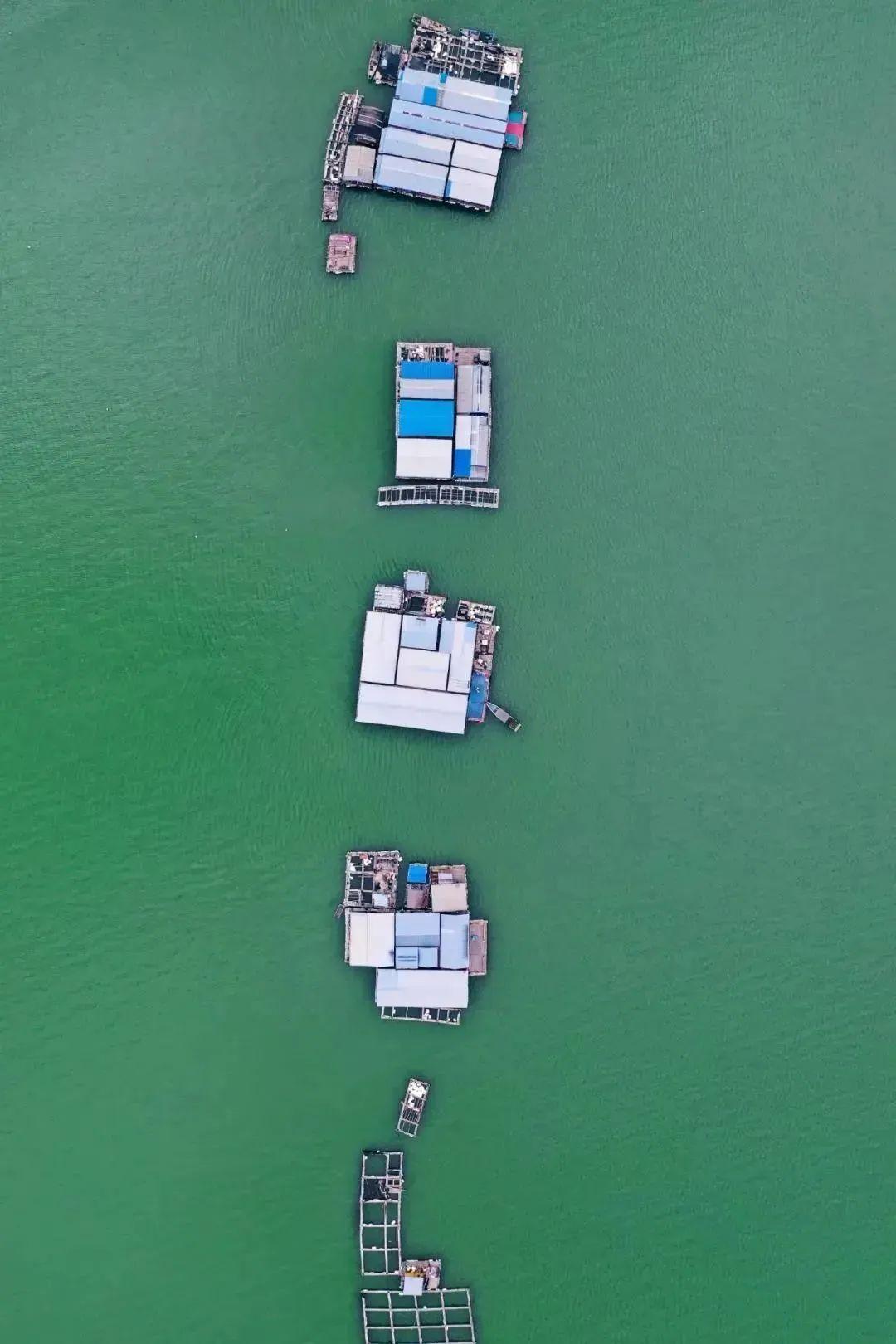 明日开渔！海风已携鲜味而来