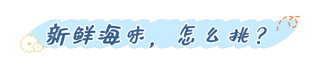 明日开渔！海风已携鲜味而来