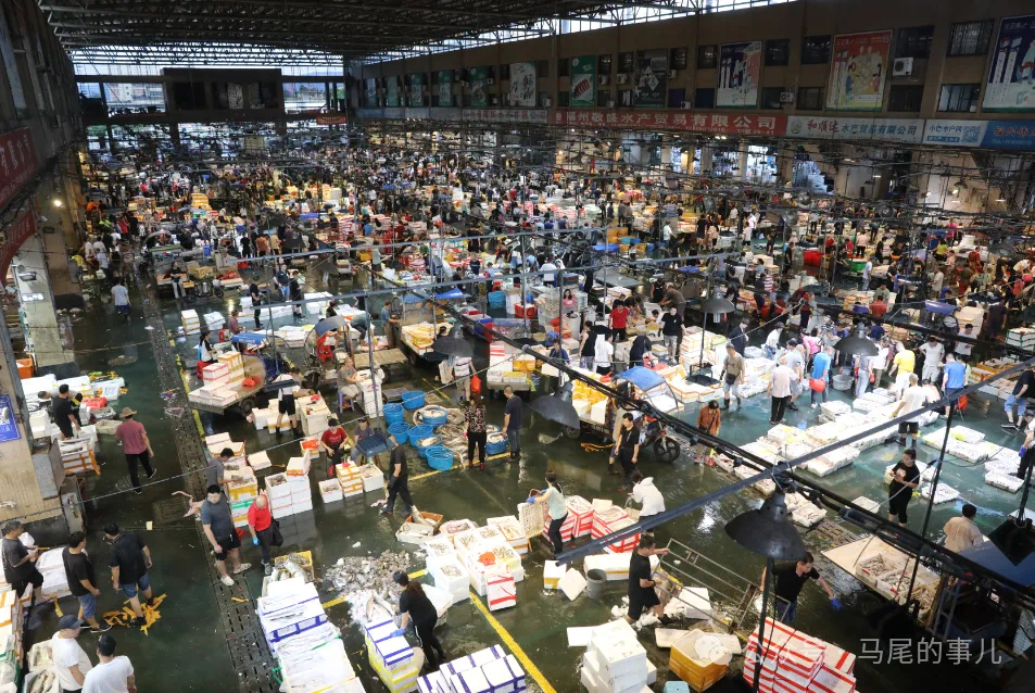 明日开渔！海风已携鲜味而来