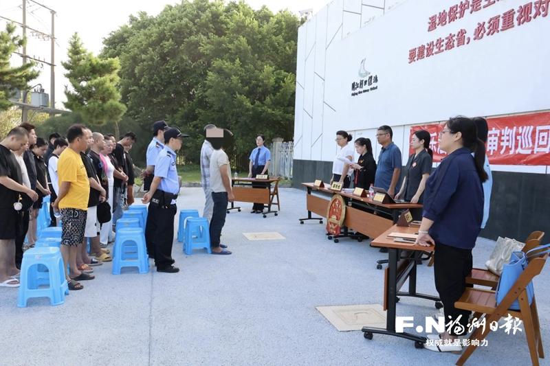 法庭搬进闽江河口湿地