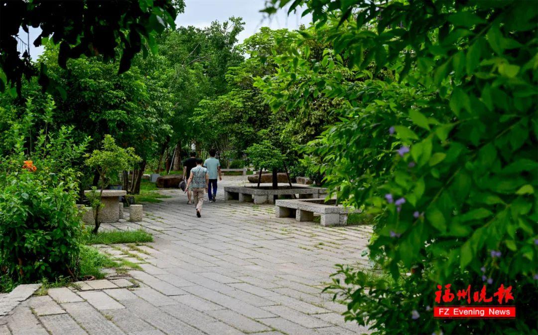 太美了！福州这个村，要火！