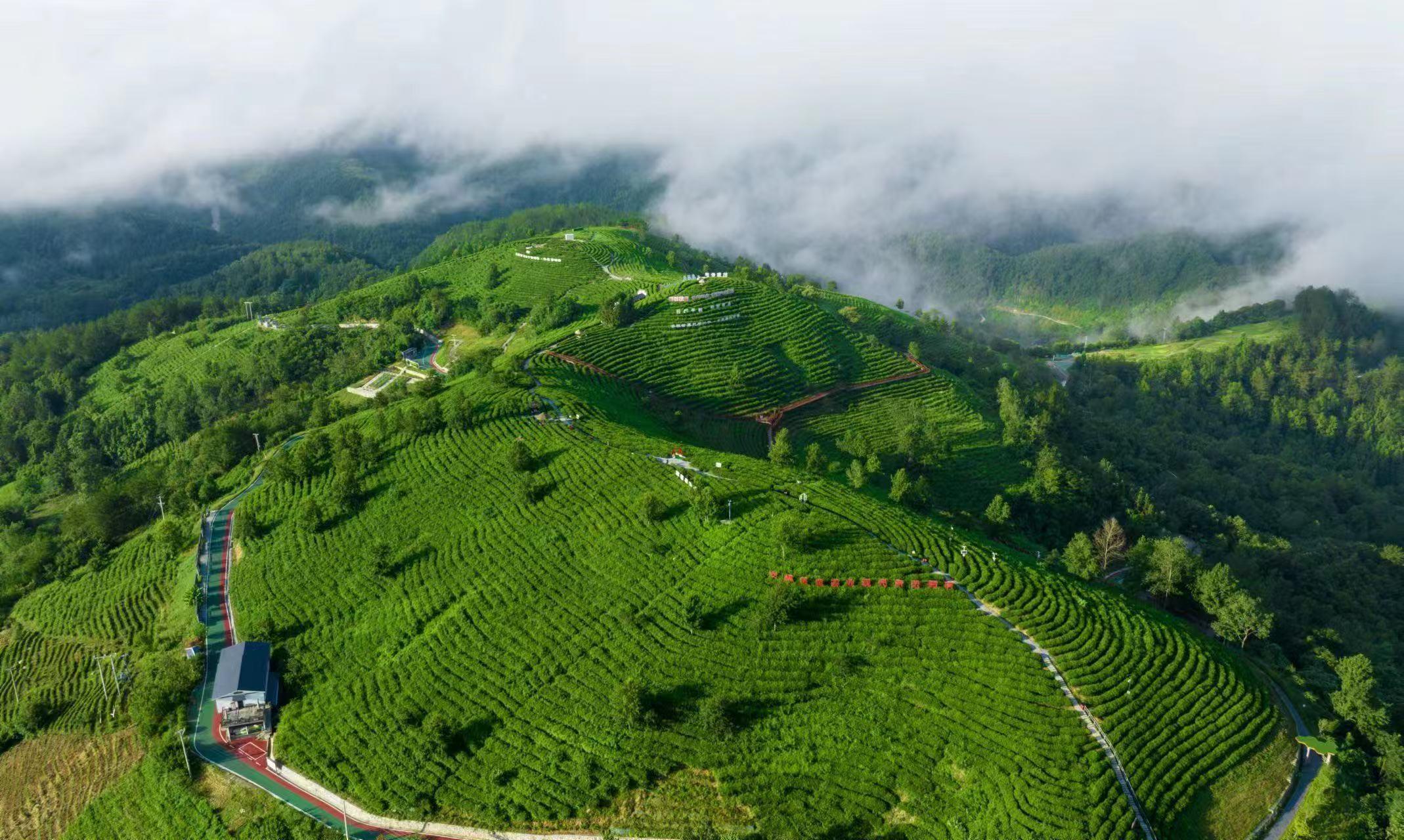 近观“两山”丨理念一变天地宽