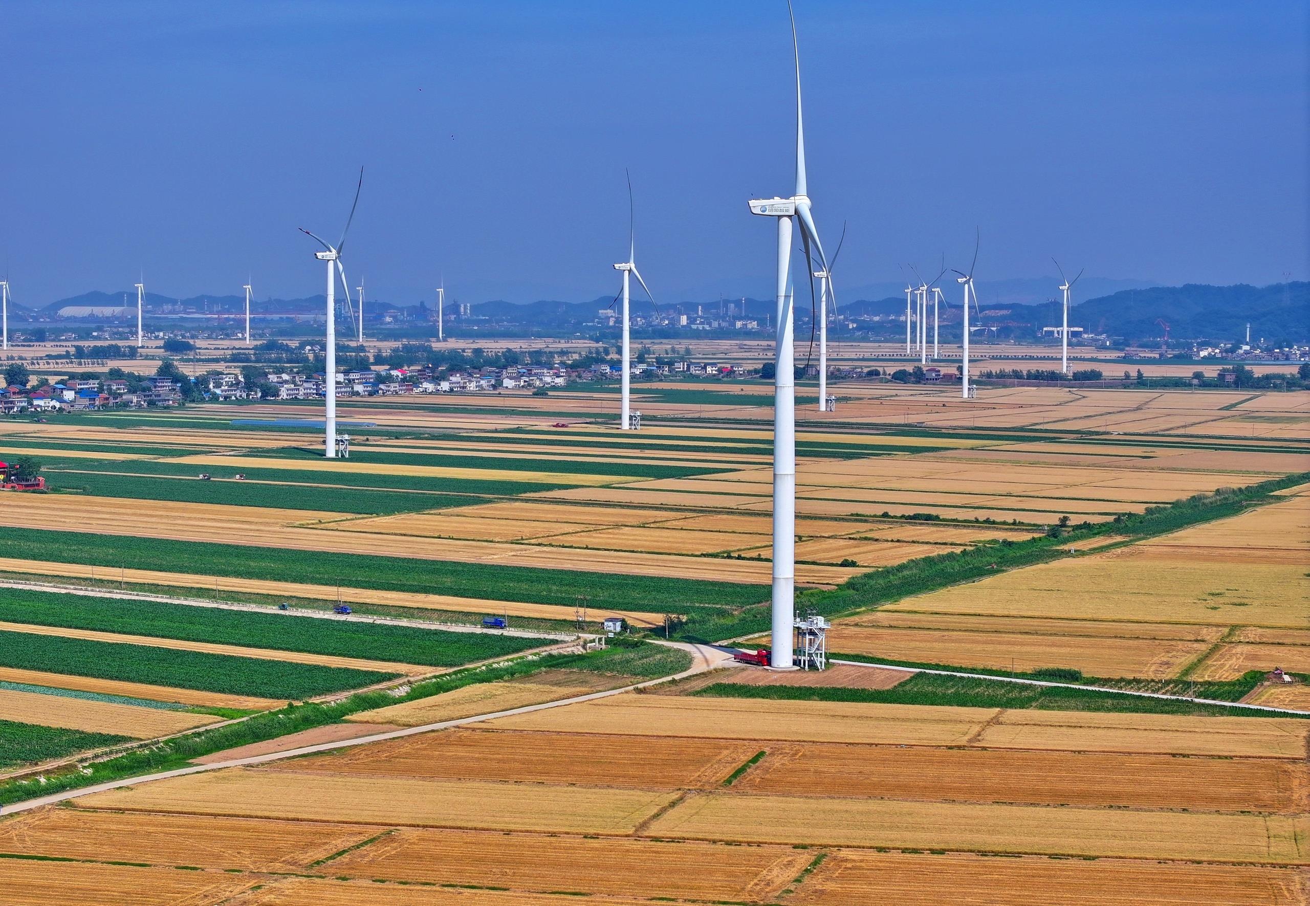 近观“两山”丨理念一变天地宽