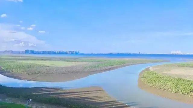福建观鸟地图出炉！这些圣地别错过→