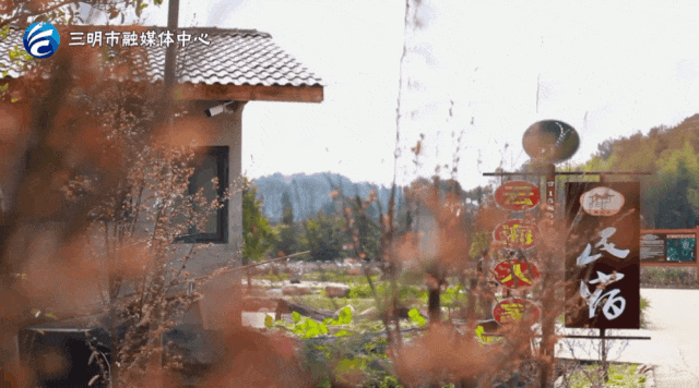 福建观鸟地图出炉！这些圣地别错过→