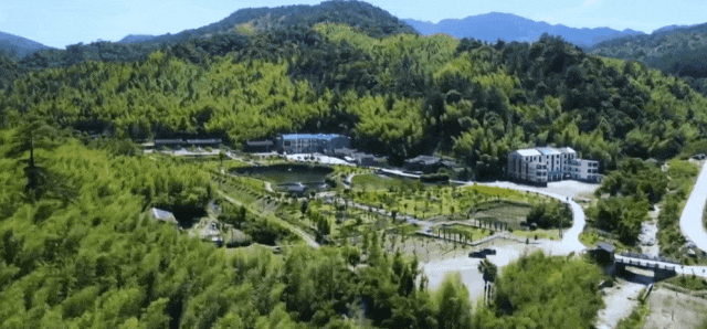 福建观鸟地图出炉！这些圣地别错过→