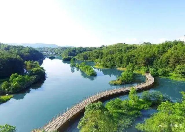 福建观鸟地图出炉！这些圣地别错过→