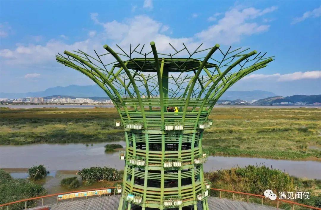 福建观鸟地图出炉！这些圣地别错过→
