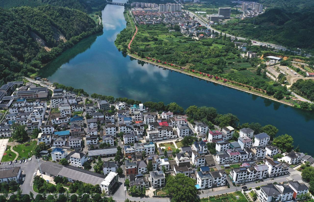 第一视点丨生态兴则文明兴——写在“绿水青山就是金山银山”理念提出20年之际