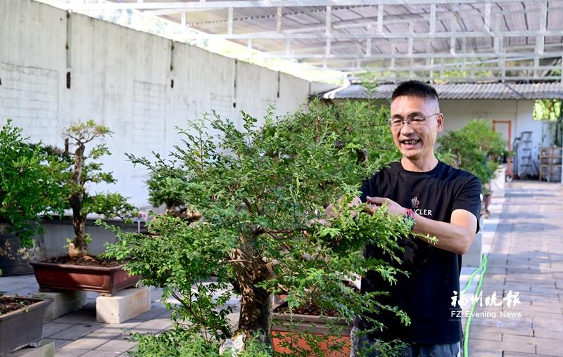 董建彬：用盆景助力乡村振兴