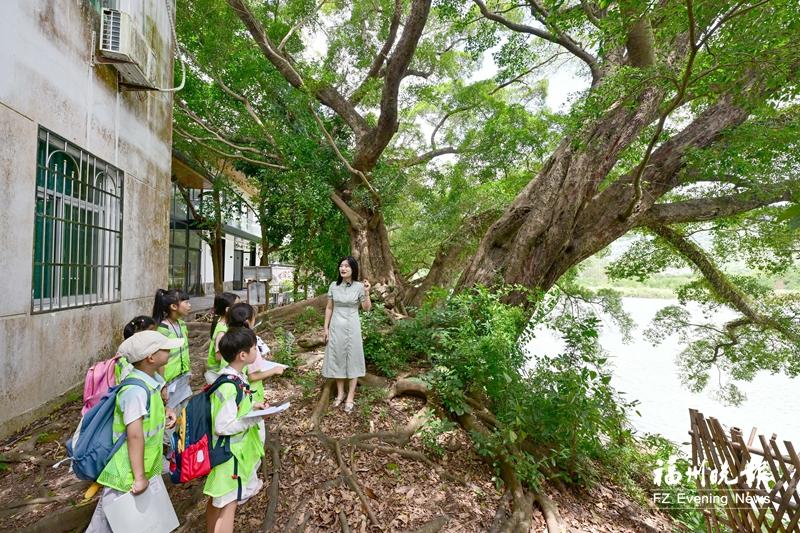 福州晚报写作训练营开展“诗人@永泰”青少年研学创作