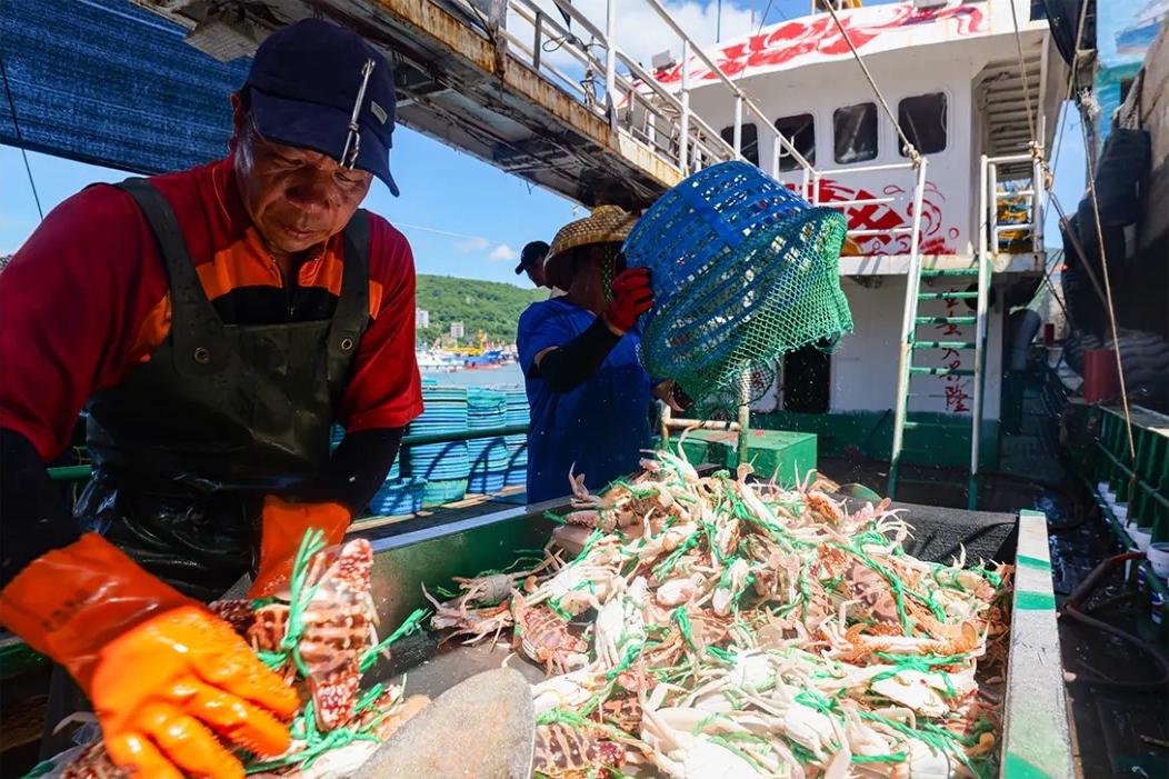 “虾兵蟹将鱼大王”来了！福州人都爱吃！
