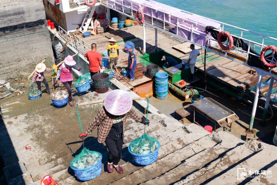 “虾兵蟹将鱼大王”来了！福州人都爱吃！