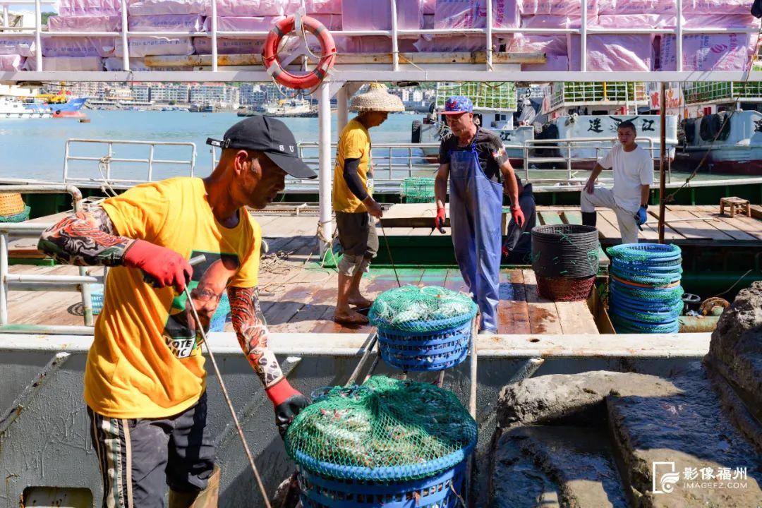 “虾兵蟹将鱼大王”来了！福州人都爱吃！